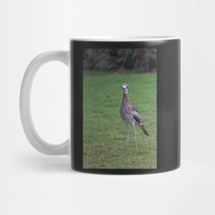 Stone Curlew Mug